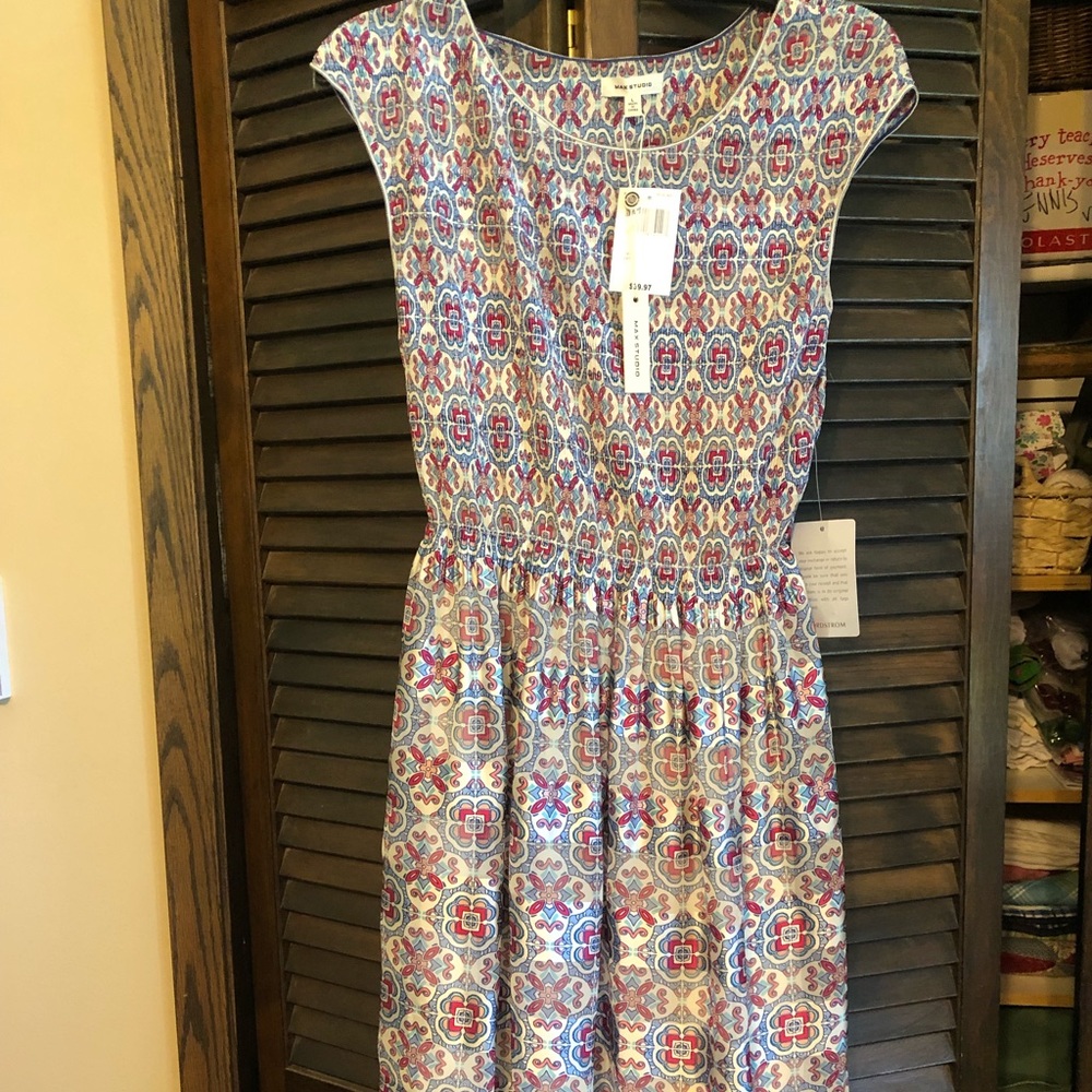 Max Studio Silky Dress